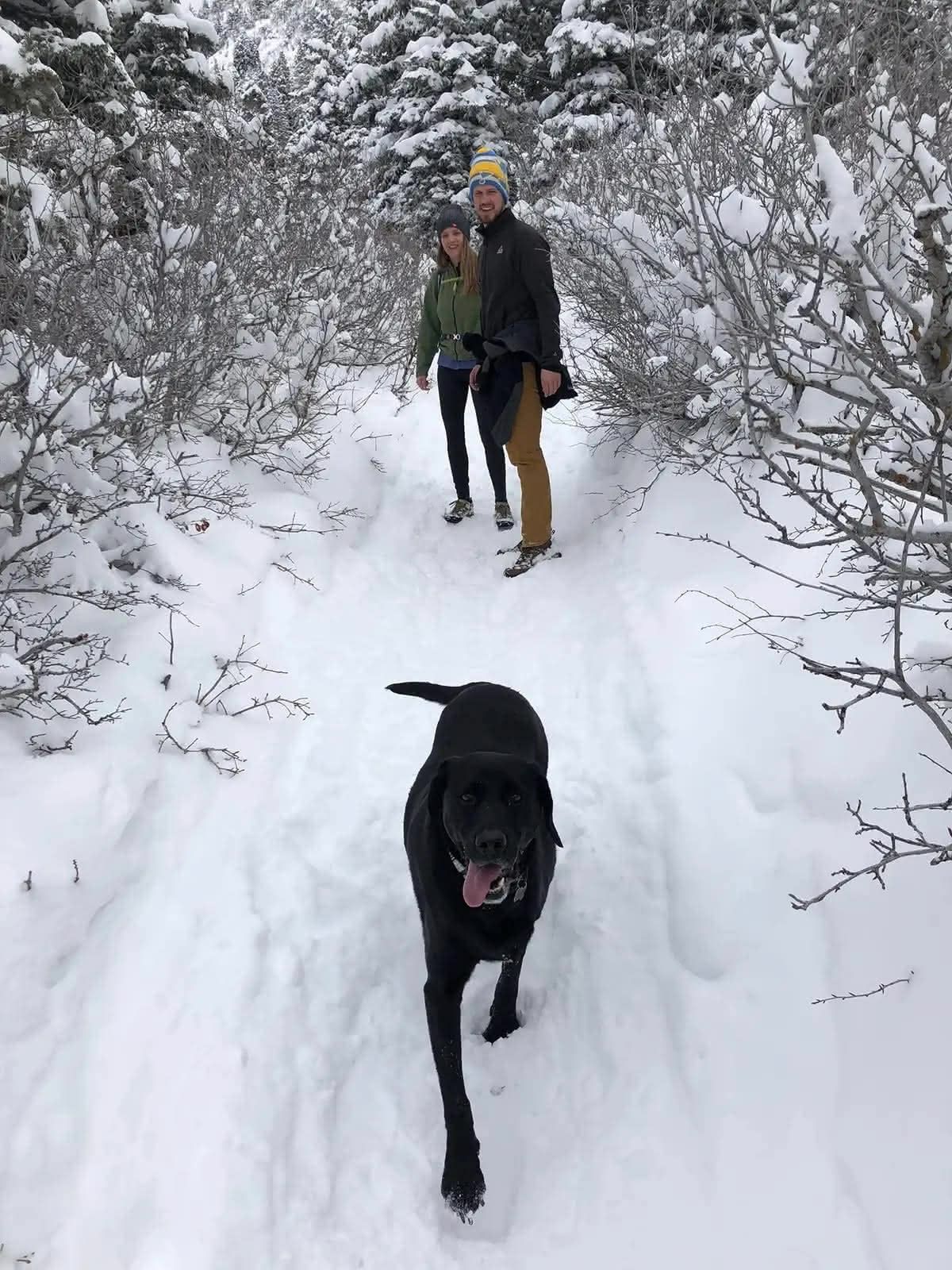 Ellie on a snow hike