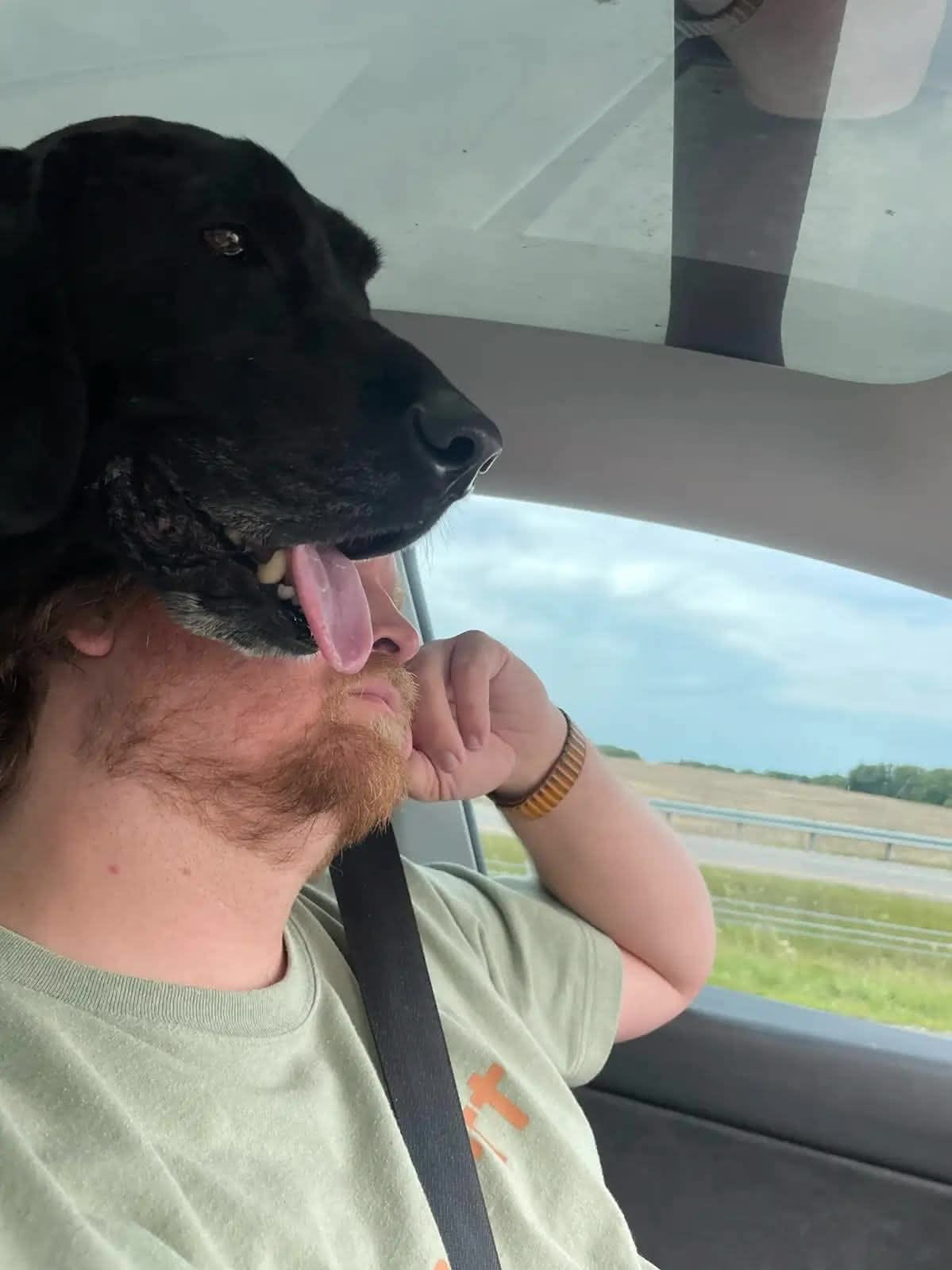 Ellie looking where we're going in the car