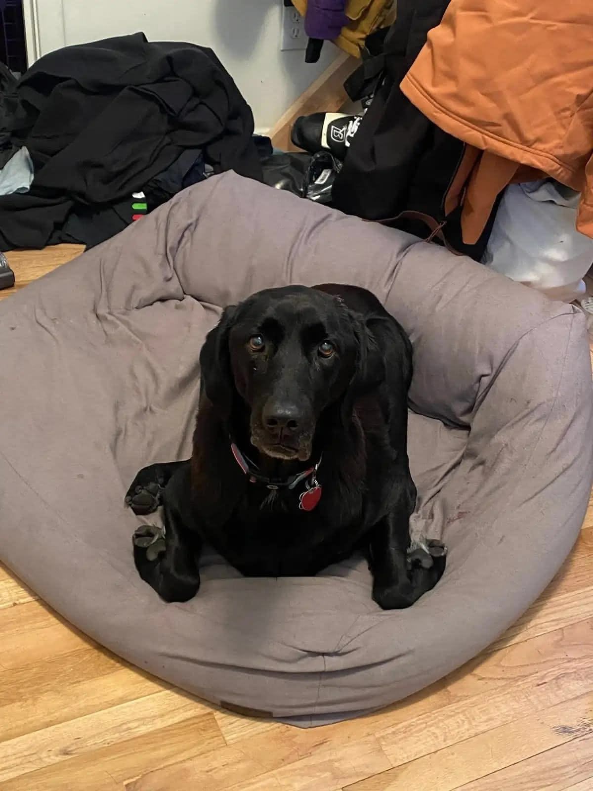 Ellie with her chicken wings