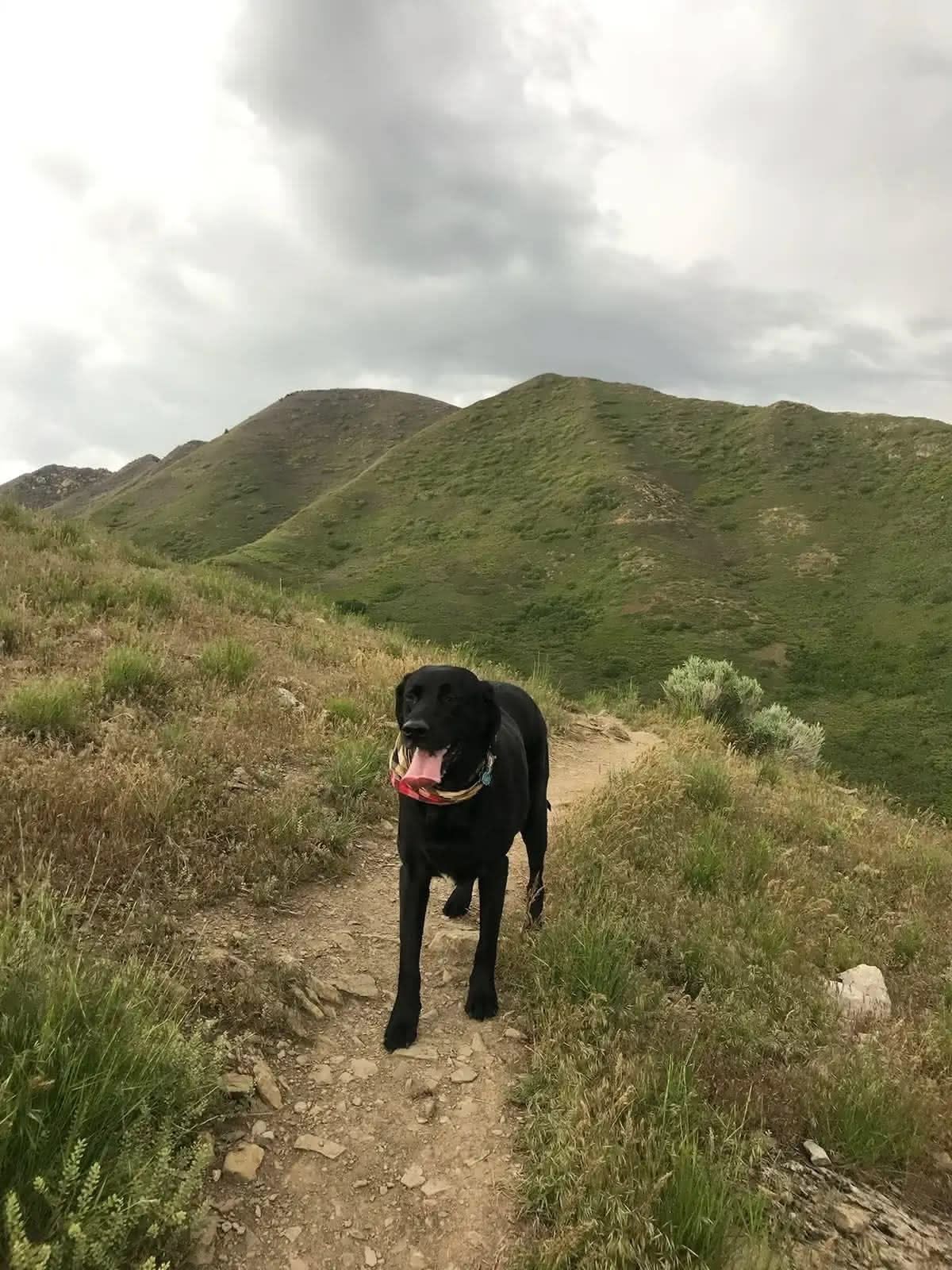 Ellie on a hike
