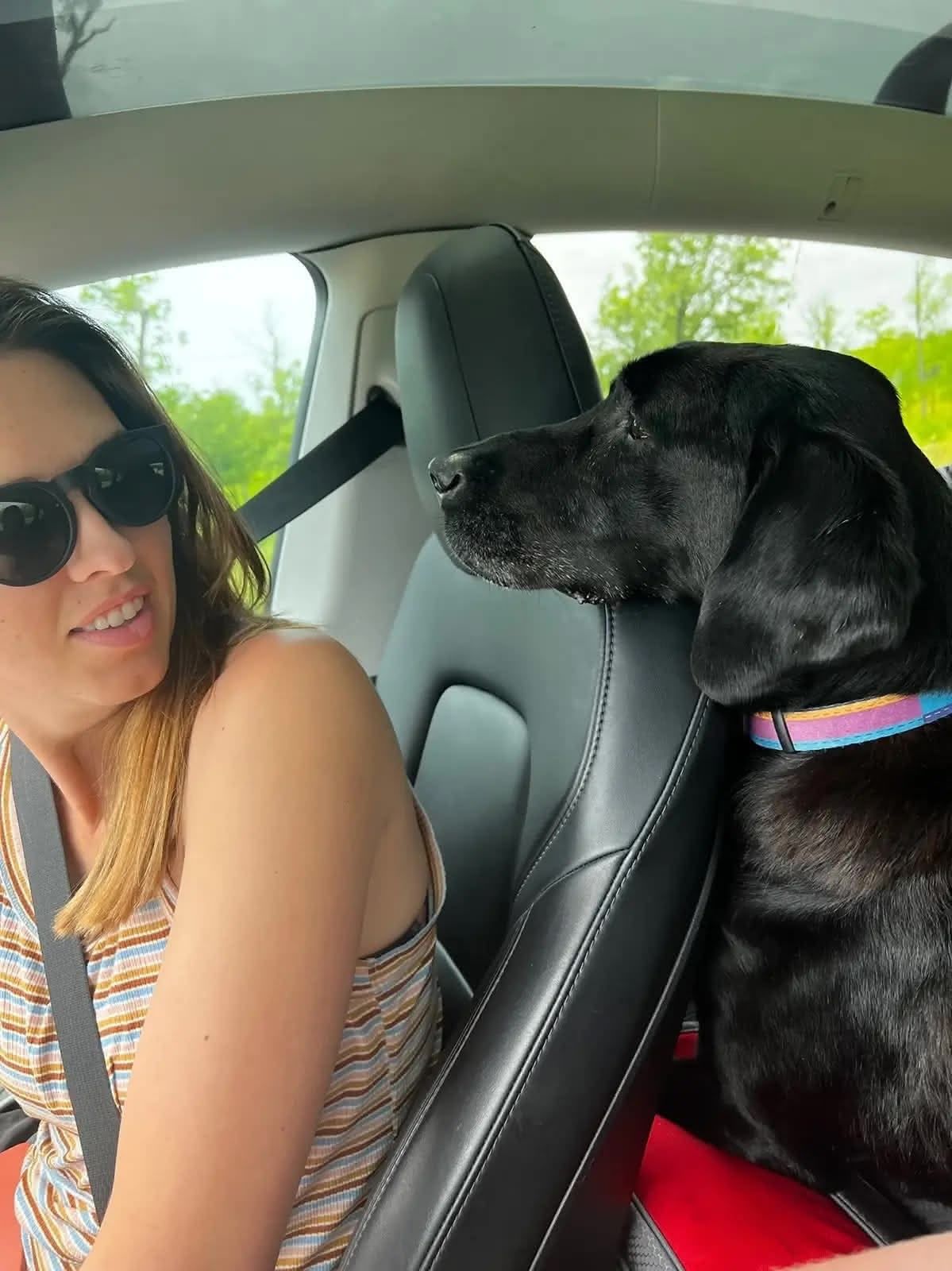 Ellie walking on the beach
